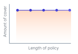 level-term-life-insurance